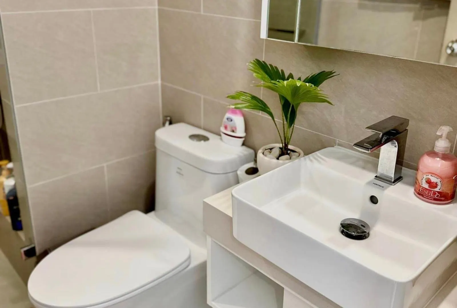 The Song Premium Hao'S Apartment Vung Tau